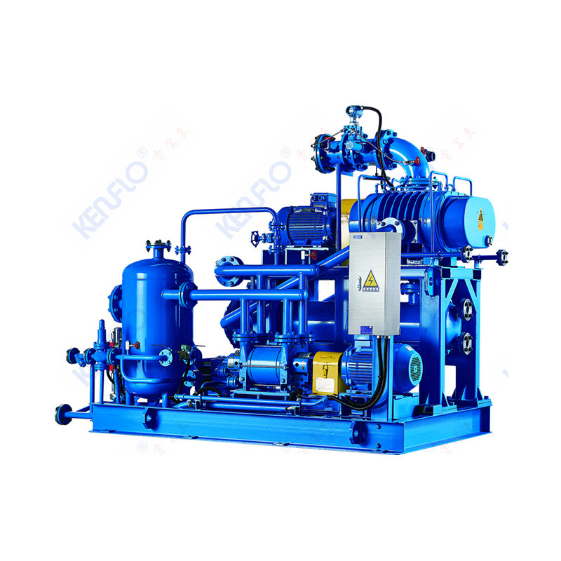 2BW Liquid Ring Vacuum Package-Chemical Process Systems