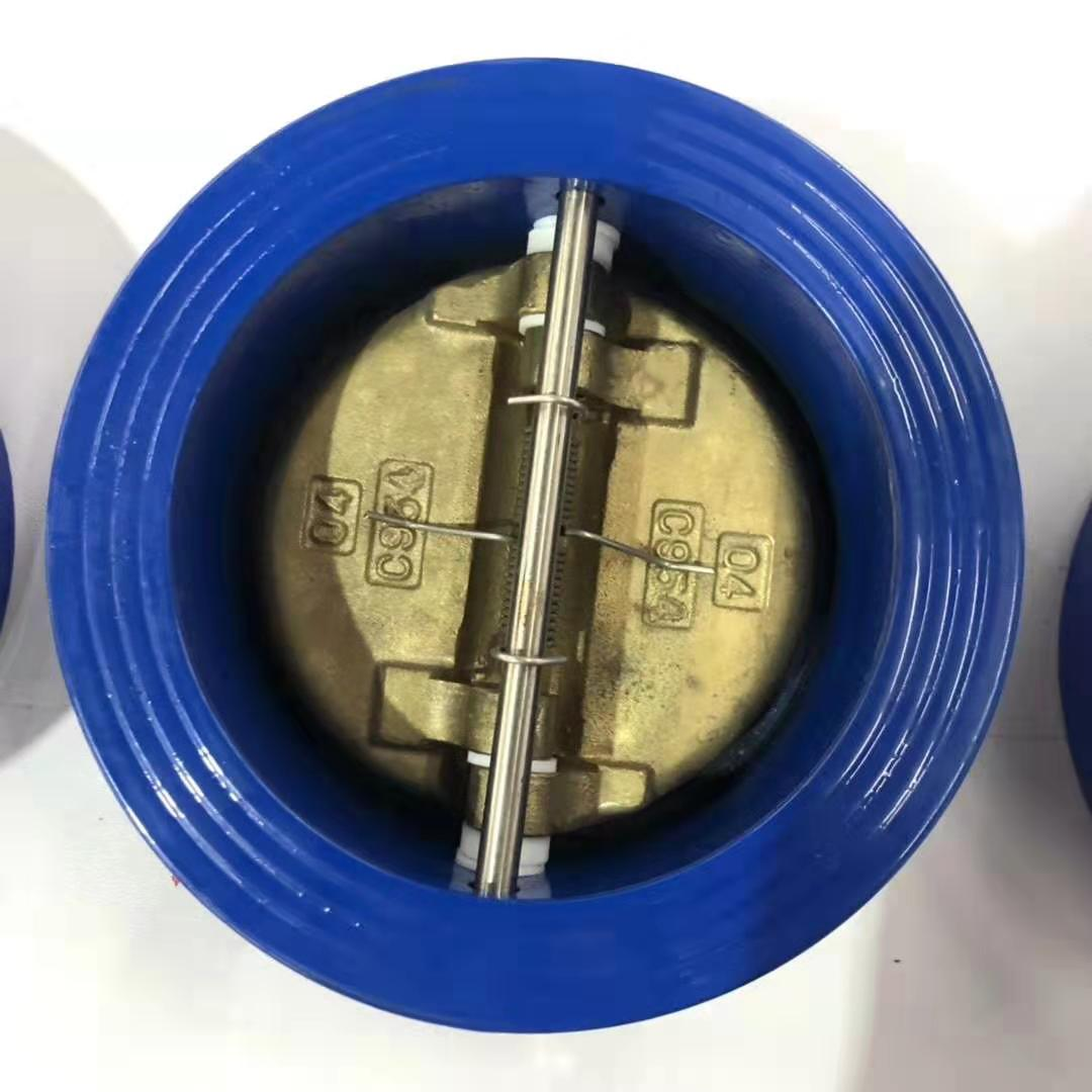 Bronze Double Door Check Valve