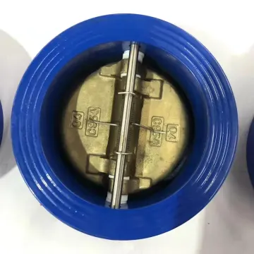 Bronze Double Door Check Valve