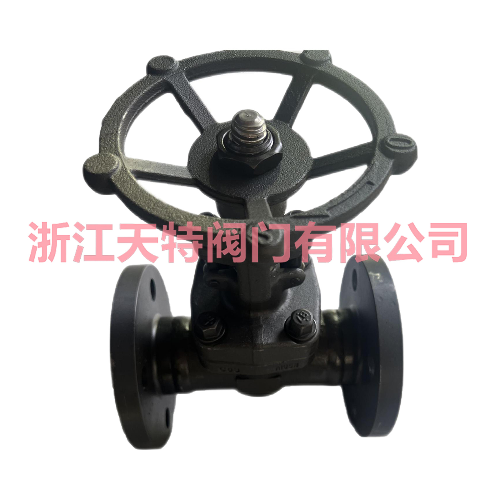 gate valve
