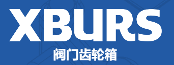 Zhejiang XBURS Measurement & Control Technology Co., Ltd.